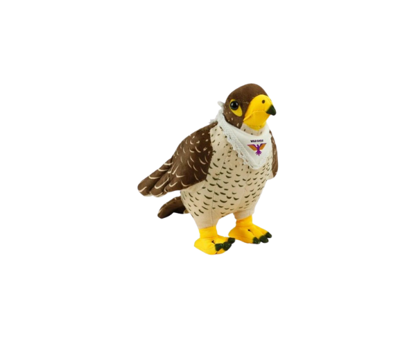 Falcon Plush Toys