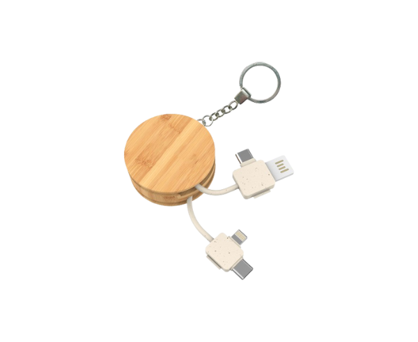 Indus Charging Cables Keyrings