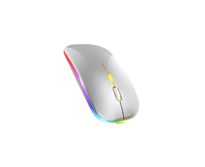 Wireless Litmo Mouses